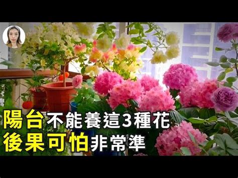 陽台種花風水